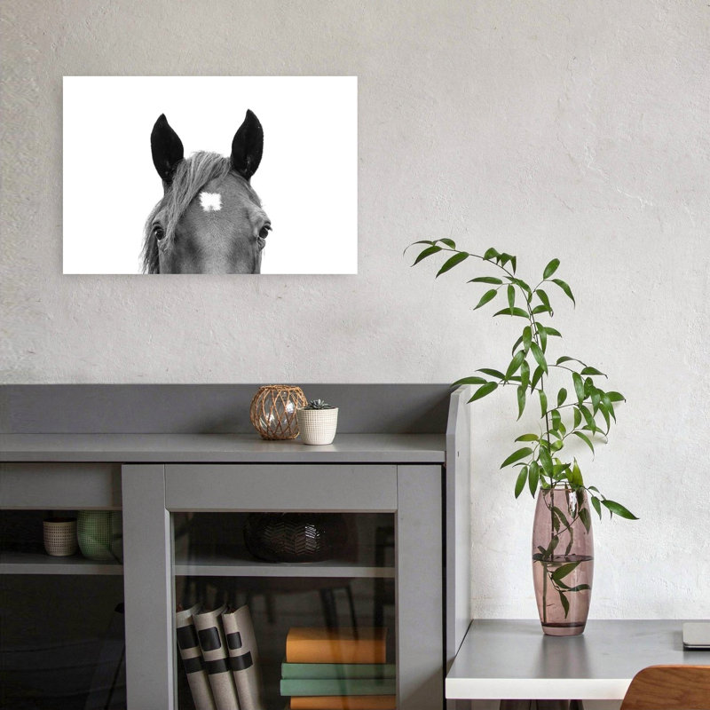 «Peeking Horse», art mural cheval contemporain