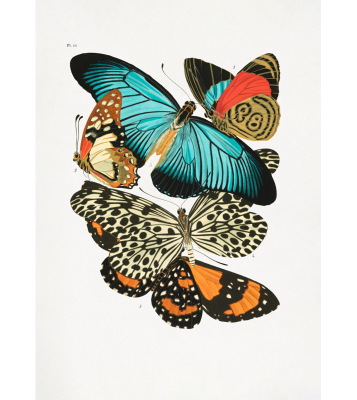 Wrapped Canvas Print, 121.92 cm H x 81.28 cm W