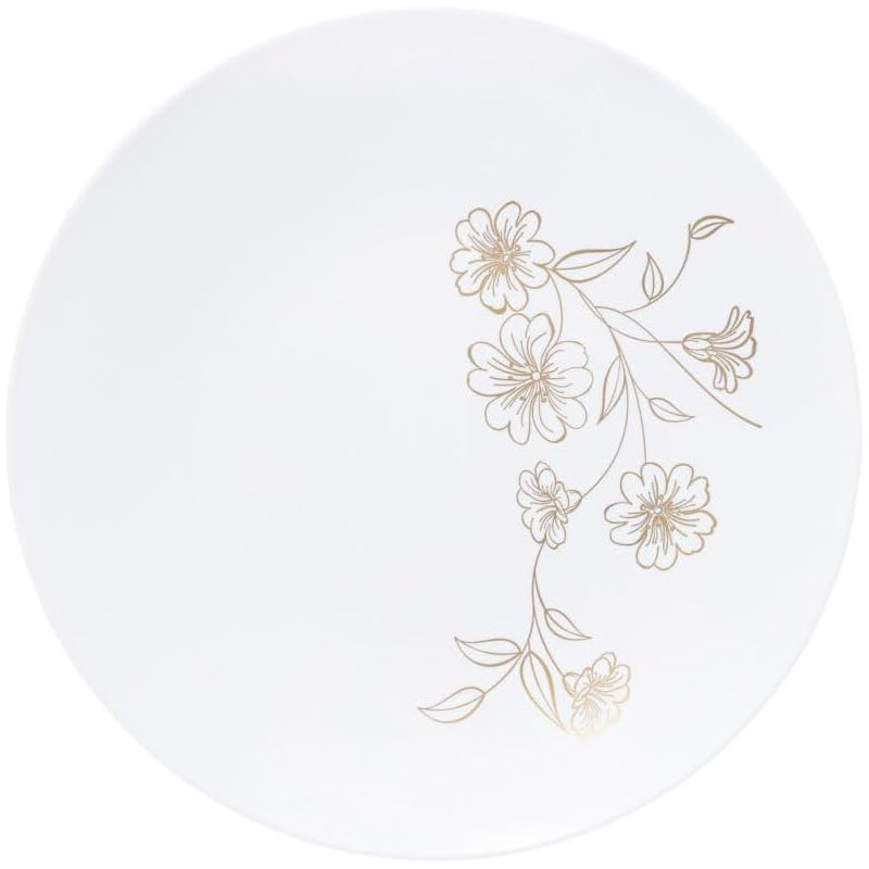 Disposable Dinner Plate, 30 Guest