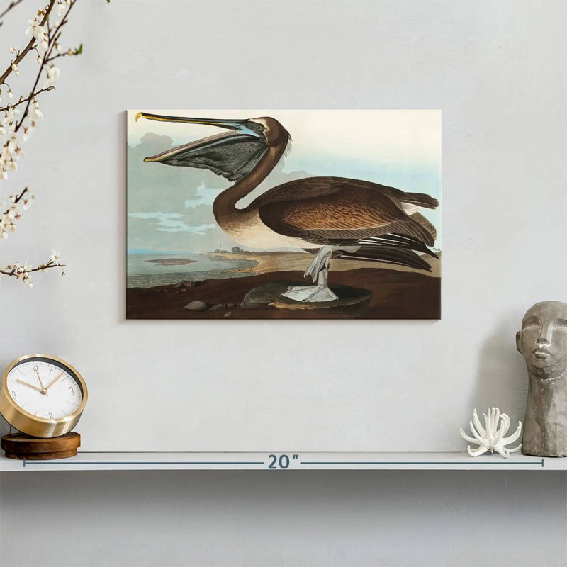 Brampt Brown Pelican I, 8" H x 12" W