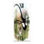 Horloge murale-1239169112