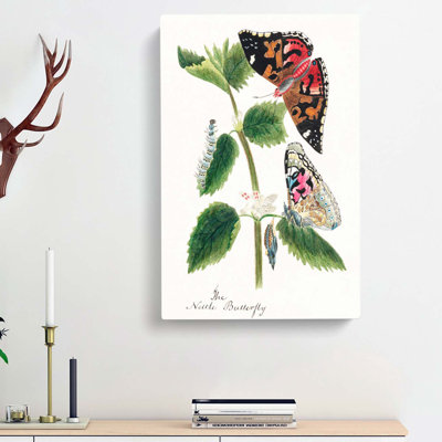 Caterpillars & Butterflies - Wrapped Canvas
