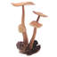 Sculpture en bois majestic champignon Mel