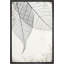 «Translucent Leaves I», reproduction d'art sur toile encadrée rustique-56407362-56407364
