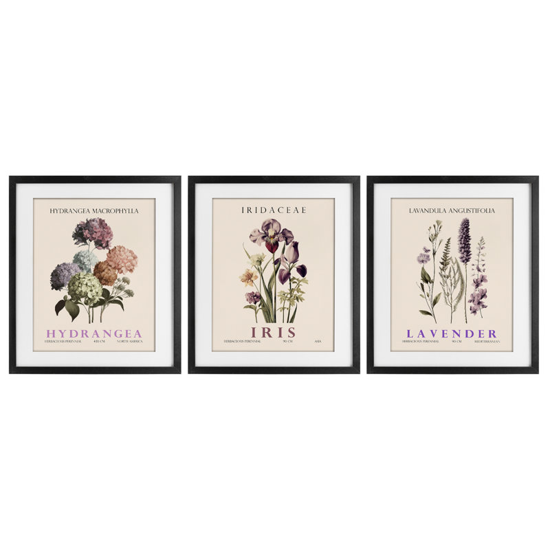 Botanical Bundles & Sprigs, ensemble de 3 reproductions encadrées sous verre, par Christopher Giampietro, H 16 po x l 13 po