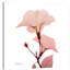 Golden Blush 1 - Wrapped Canvas Print-906180784
