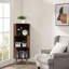 Coralina 3-Tier Storage Cabinet with Open Shelves, Freestanding Organize