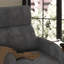 Fauteuil inclinable Bagtas-911515810