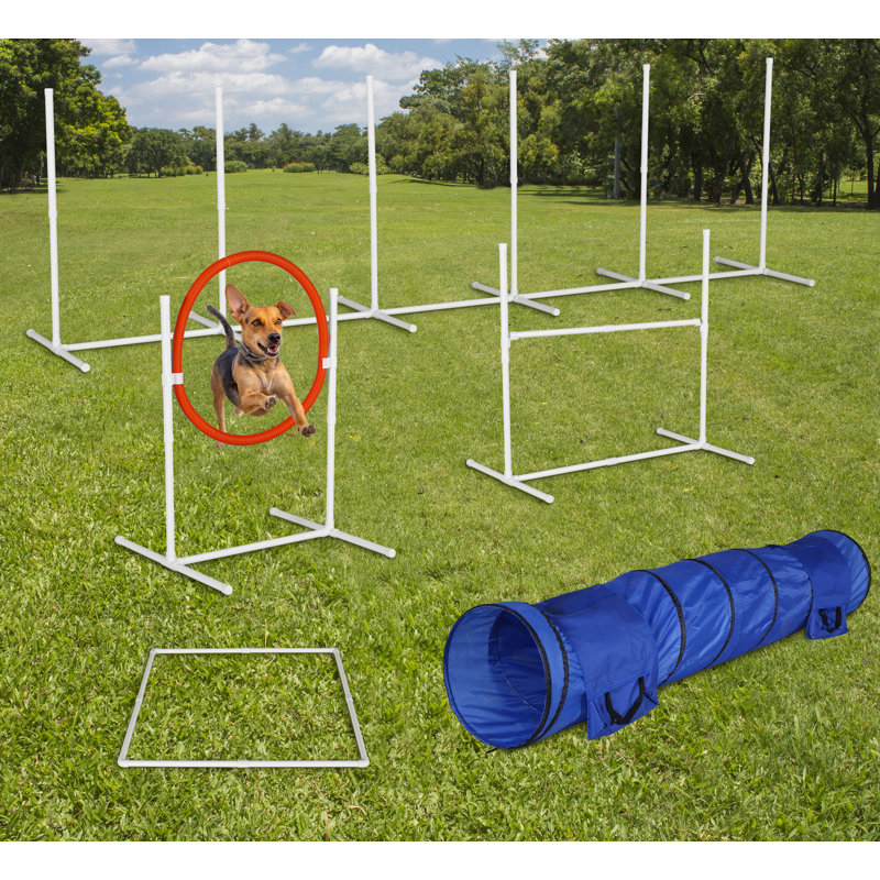 Adjustable Dog Agility Training Set with Tunnel and Weave Poles