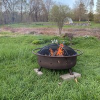 Arlmont & Co. Gustafson Steel Wood Burning Fire Pit & Reviews