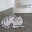 Tapis filtrant pour litière pour chat