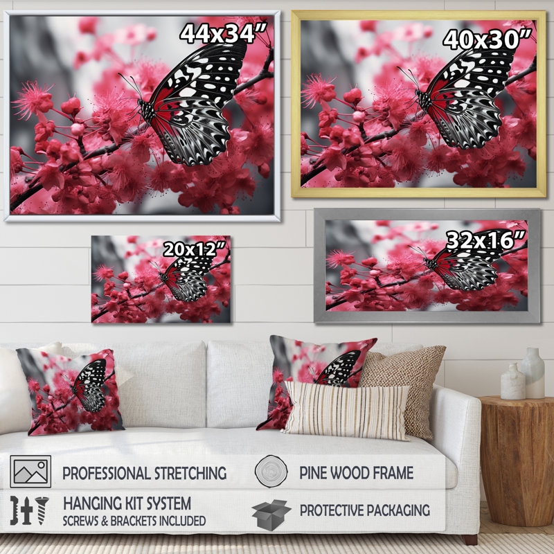 Claymoore, rose, papillon noir, refuge sur toile, Cadre flottant doré, H 34 po x l 44 po x P 1,5 po
