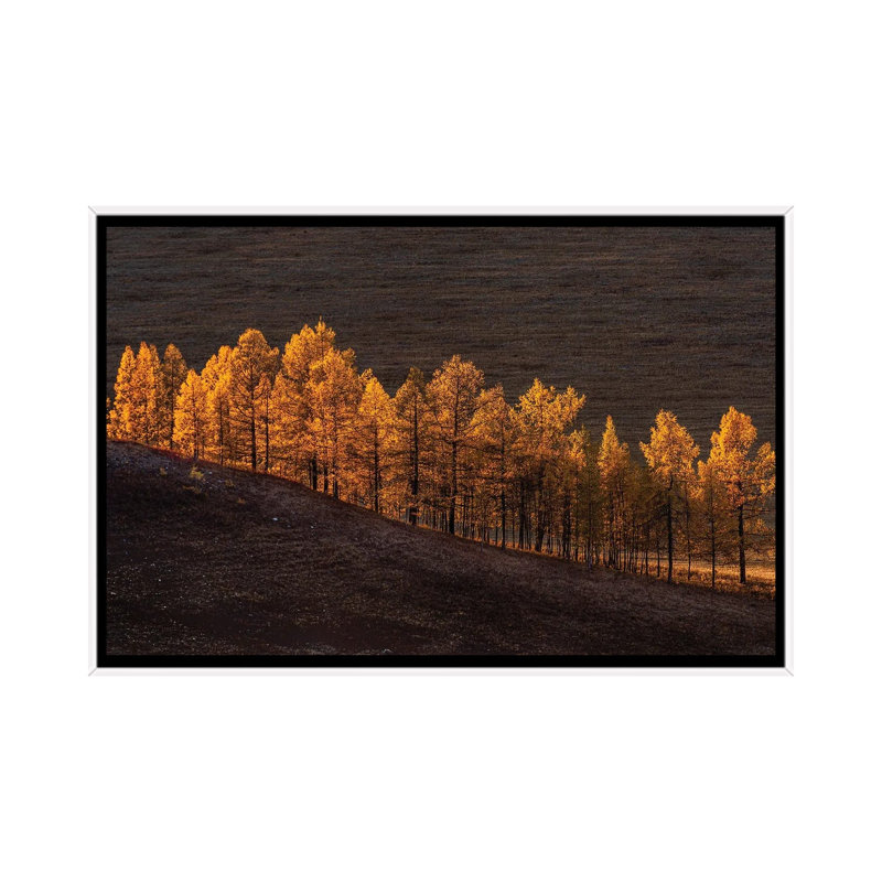 Sunset Light by Haim Rosenfeld - Floater Frame Print on Canvas