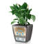Quadro Premium Pot Planter-16493062-16493063