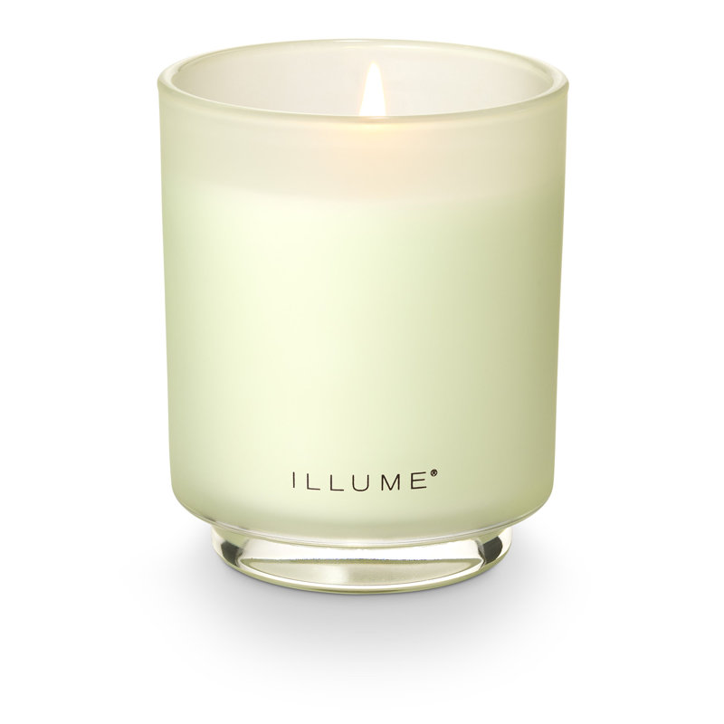 Beautifully Done Borealis Moss Boxed Glass Scented Candle