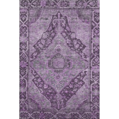 Premium Machine Washable Lucchesi AMF1761 Border Rug