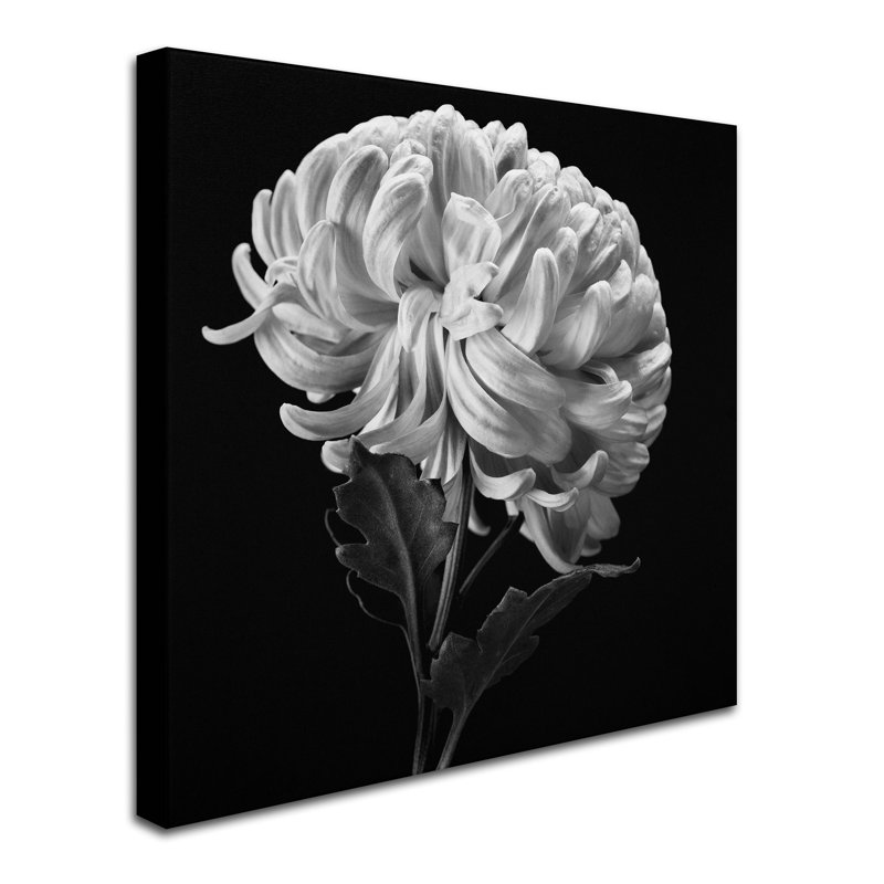 « mum ii », reproduction de photo sur toile tendue, H 35 po x l 35 po x P 2 po