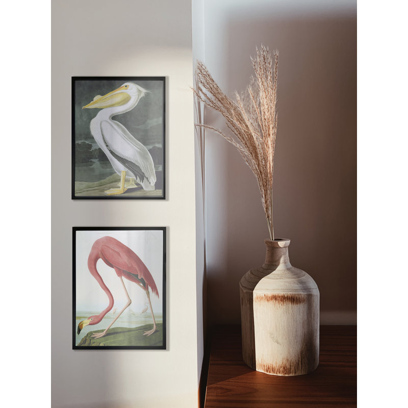 American Flamingo - Single Picture Frame Print