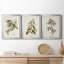 Pl. Ensemble de 39 reproductions d'art sur toile encadrées-1422530597-1422530596