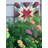 Wood Wall Decor-1915985215