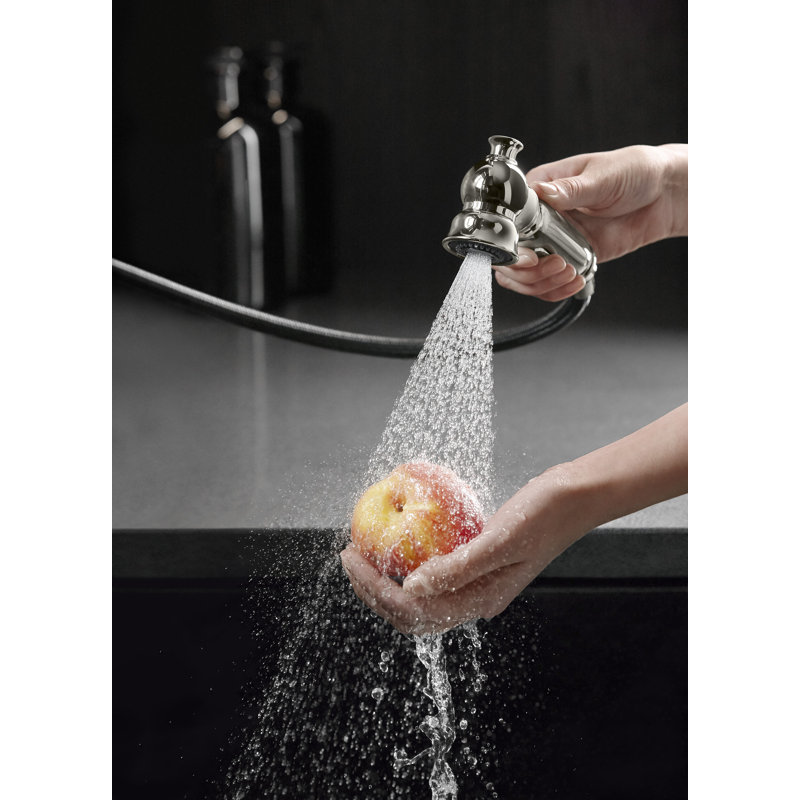 Artifacts Single Handle Kitchen Sink Faucet with Accessories, Vibrant Polished Nickel