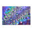 « colours of arc-en-ciel », reproduction de photo sur toile tendue-31355493