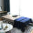 Delmar Twin Steel Daybed with Mattress