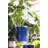 Parsons Handmade Ceramic Pot Planter-94670984-94670982