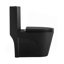 Toilette une pièce à double chasse 1,1 / 1,60 GPF-111875238