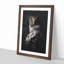 Owl - Framed Print-56856987-56856989