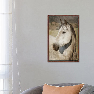 A Watchful Eye 1 Piece Floater Frame Wall Art on Canvas