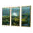 Toile avec cadre flottant or