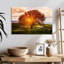 Arbre toscan Harnek-107713876