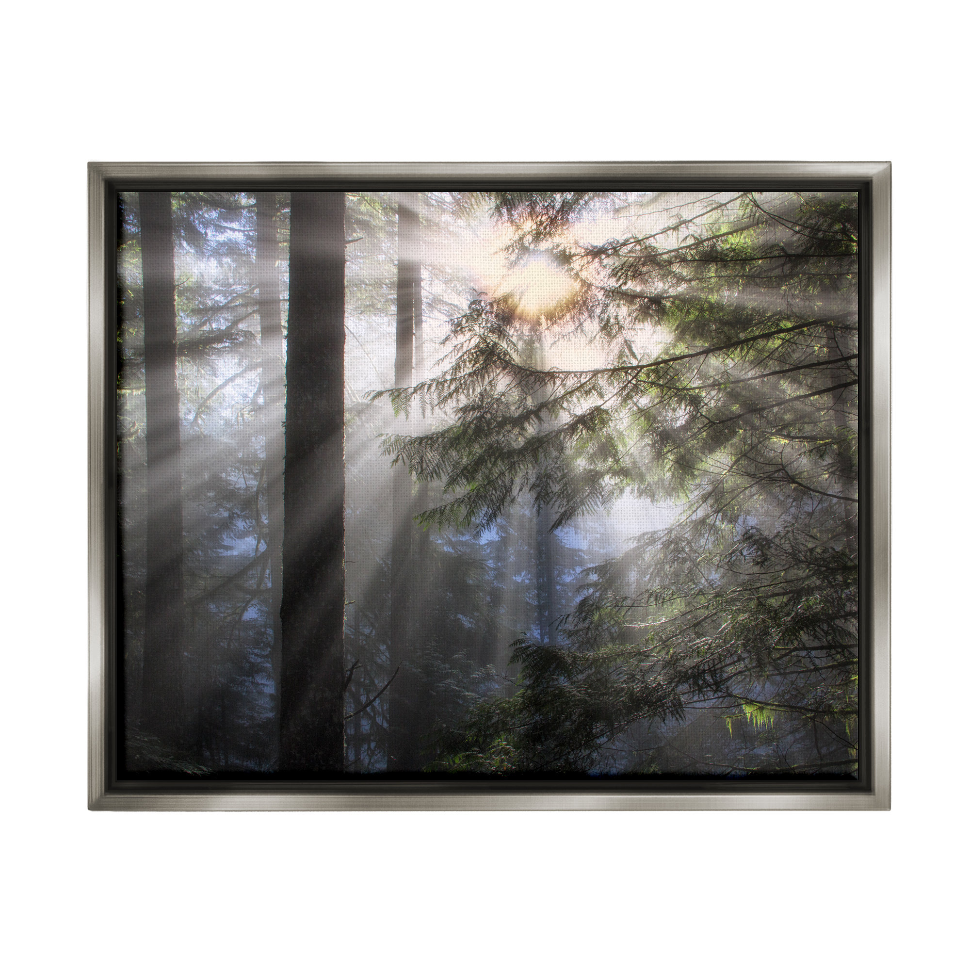 Millwood Pines Forest Sun Rays Nature Scenery Framed Floater Canvas ...