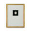 Intaglio In Gold I Print