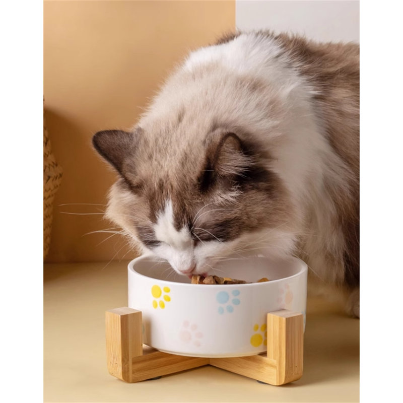 Bol en céramique pour animaux avec support en bois massif