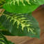 Artificial Evergreen Tree in Nursery Pot -1424596537