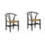 Ensemble de chaises de salle à manger Mid-Century