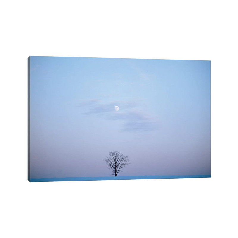 Single Tree in Winter Landscape Evening Moon 1 Piece Wrapped Canvas Wall Art, 20.32 cm H x 30.48 cm W