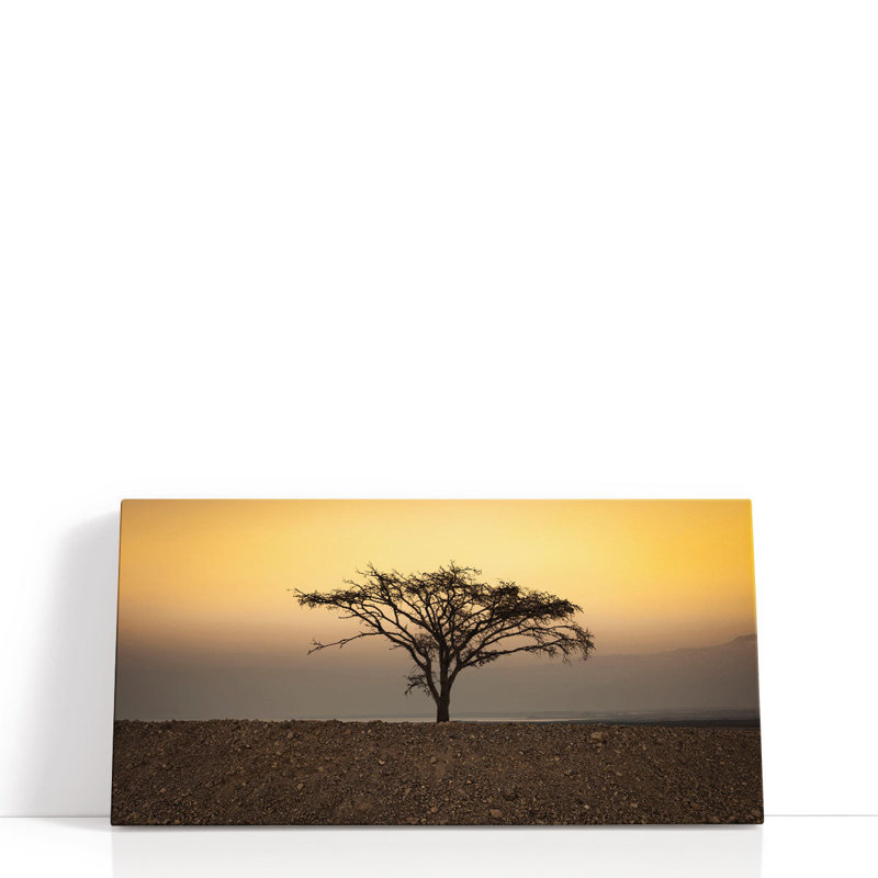 Arbre sec dans le désert près de la mer Morte, Israël - reproduction d'art sur toile, H 18 po x l 36 po