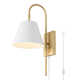 Rhoeva Single Light Iron Dimmable Plug-in Flush Mounted Sconce