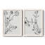 Botanical Study I - Toile encadrée de qualité supérieure - prête à être accrochée-920868948-920868951