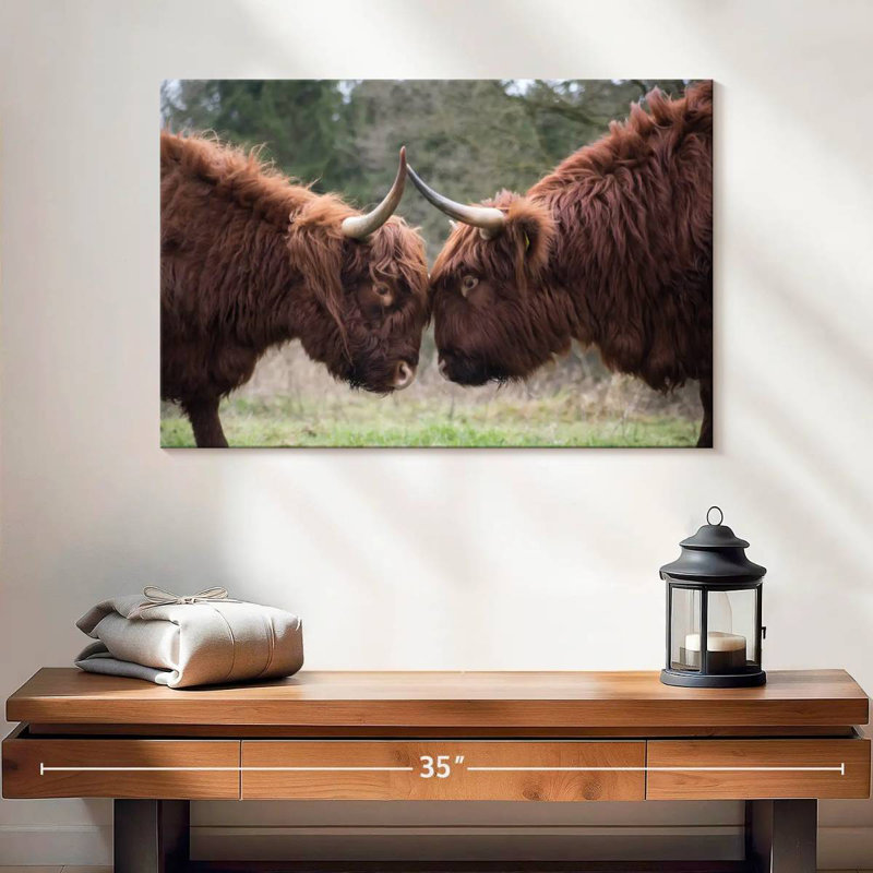 Brampt Highland Cow Clash, 16" H x 24" W