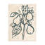 Bolognaise «Ink Pear Branch I» sur-98232831