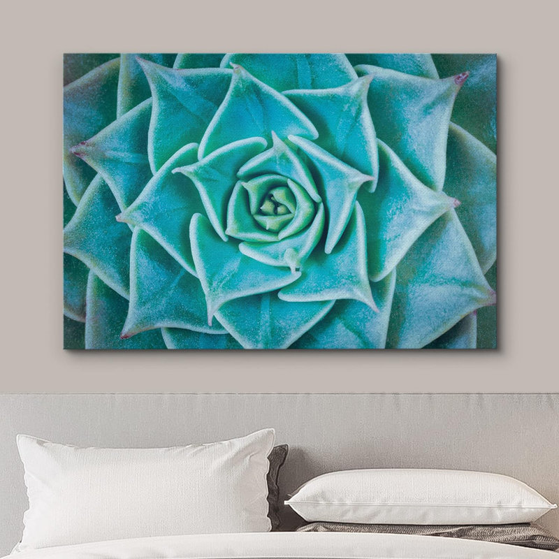 Succulent «Vibrant Blue Green Haworthia Succulent» sur toile, H 24 po x l 36 po