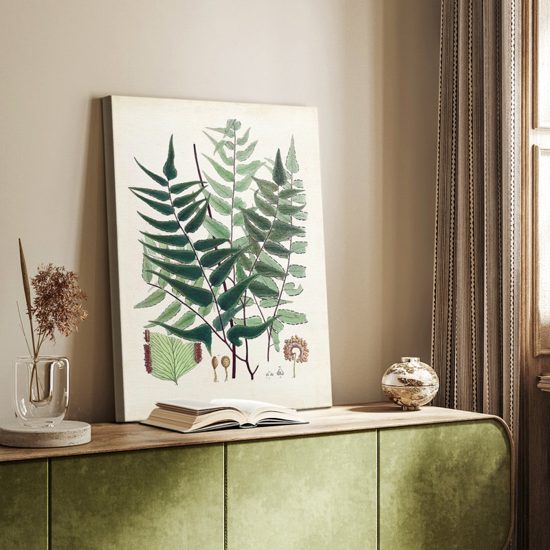 Collection Ferns VII - galerie sur mesure, H 36 po x l 24 po