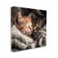 Portrait de chatons câlins par Roozbeh-1901272346