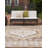 Oriental Machine Woven Polypropylene Indoor / Outdoor Area Rug in Natural-1847715485