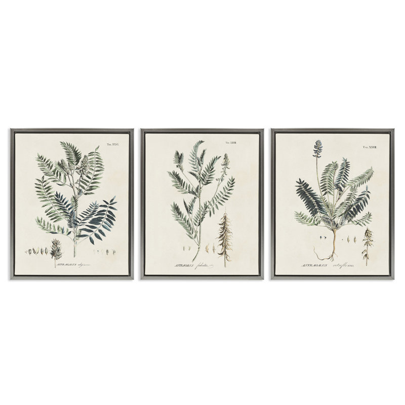 Ensemble de 3 toiles flottantes encadrées Green Botanical, H 21 po x l 17 po, Cadre flottant gris lustré