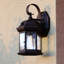 Dennishia 10.75 in. H 1-Light Medium Bronze Dusk to Dawn Sensor Outdoor Wall Sconce, Rust-Resistant Aluminum, Clear Seeded Glass Shade for Exterior Porch Patio Front Door or Garage